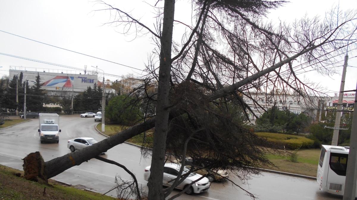 У Севастополі на 21 квітня оголошено штормове попередження через посилення вітру – МНС РФ