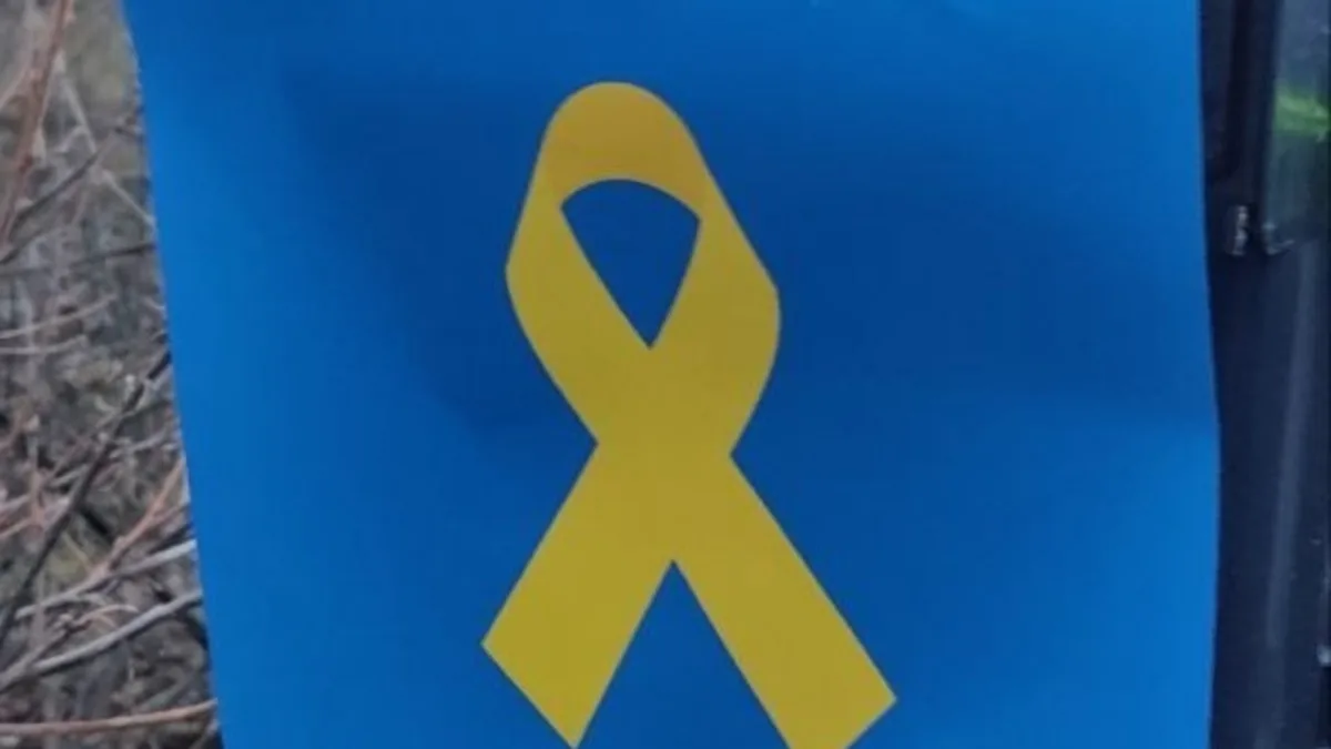 «Жовта стрічка» показала фото символів «українського спротиву» біля будівлі парламенту Криму